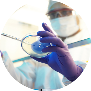 a scientist in full PPE squeezing liquid into a petri dish